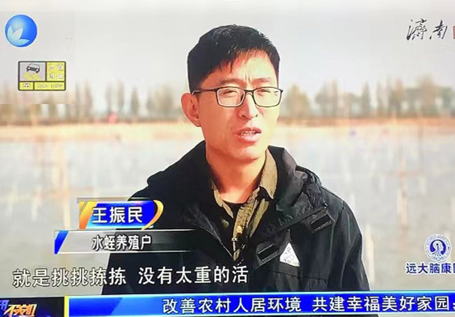資質(zhì)榮譽