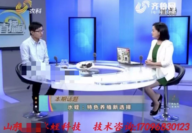 資質(zhì)榮譽(yù)