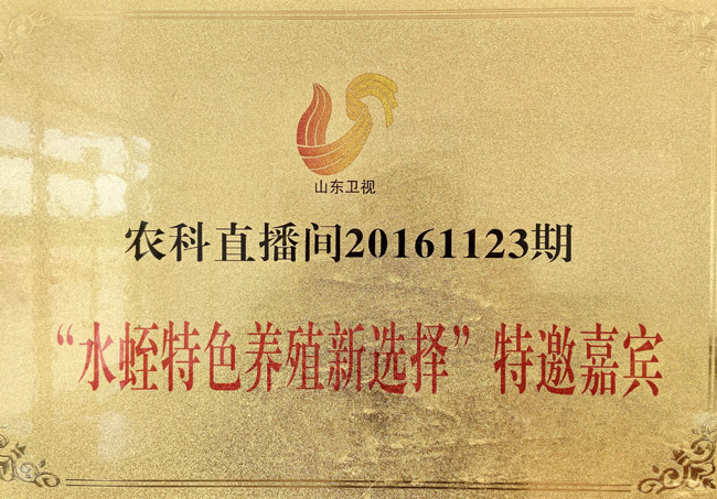 資質(zhì)榮譽(yù)