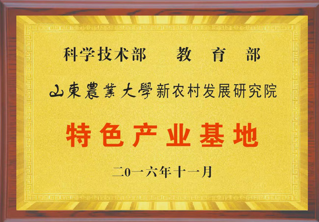 資質(zhì)榮譽