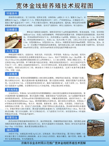 資質(zhì)榮譽(yù)