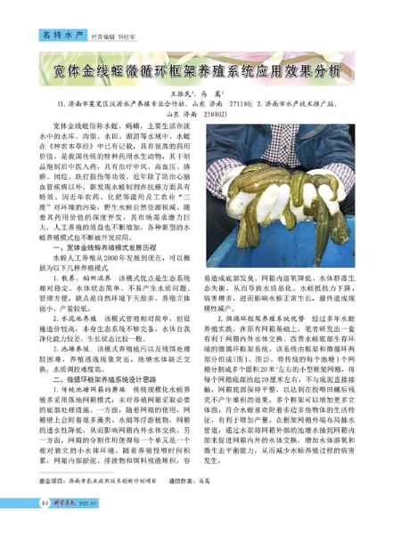 資質榮譽