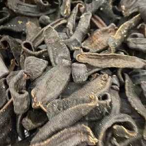 水蛭成品