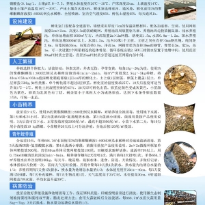 資質(zhì)榮譽(yù)