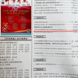 資質(zhì)榮譽(yù)