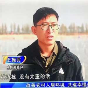 資質(zhì)榮譽