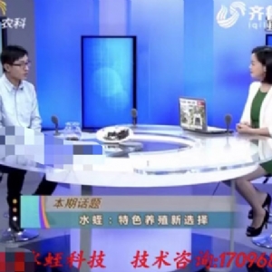 資質(zhì)榮譽(yù)