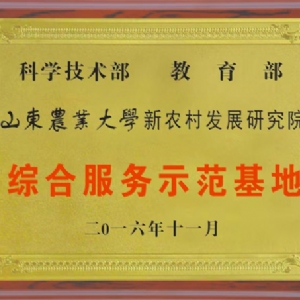 資質(zhì)榮譽