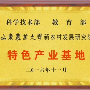 資質(zhì)榮譽