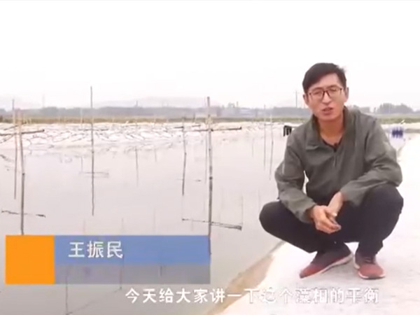 視頻展示