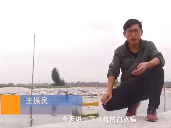視頻展示