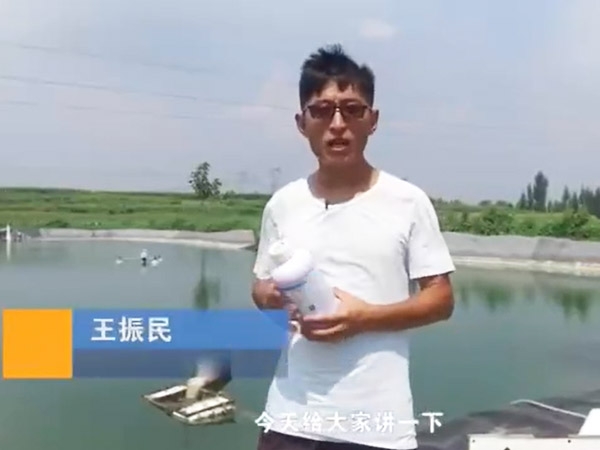 菌種介紹-噬菌體介紹