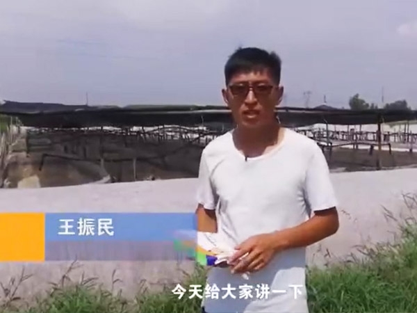 菌種介紹-芽孢桿菌介紹