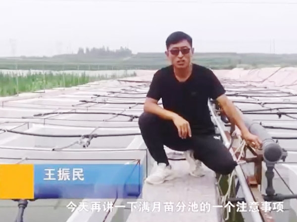 水蛭滿月苗的注意事項