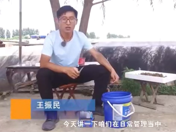 水蛭養(yǎng)殖日常需檢測(cè)的水體指標(biāo)