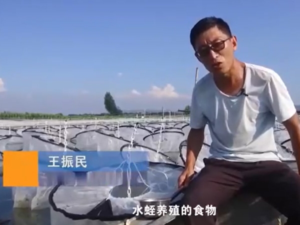 養(yǎng)殖管理.食物投放