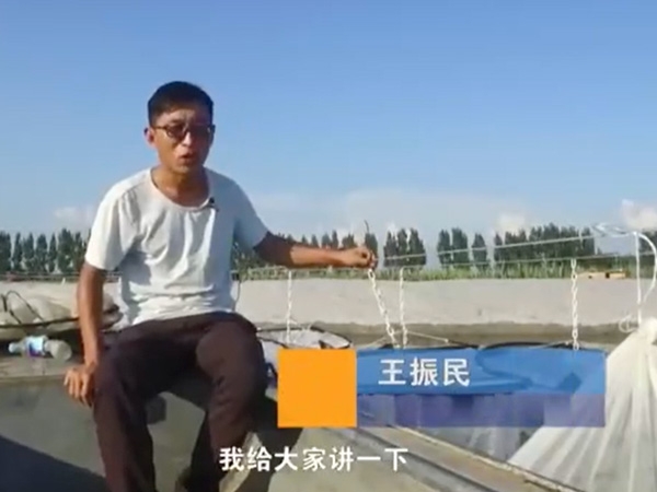 養(yǎng)殖管理-吊籠介紹