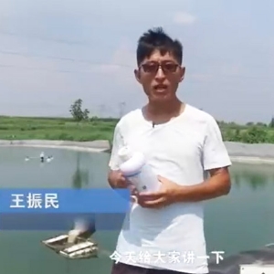 菌種介紹-噬菌體介紹