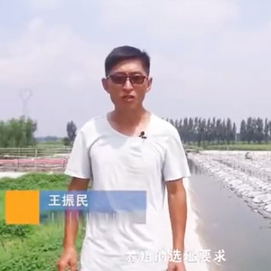 選址-位置選擇