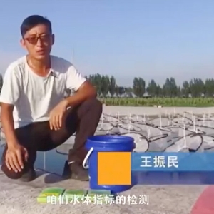養(yǎng)殖管理-水體檢測