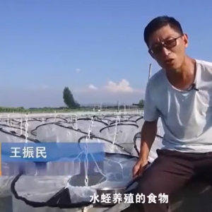 養(yǎng)殖管理.食物投放