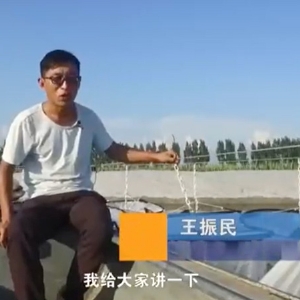 養(yǎng)殖管理-吊籠介紹