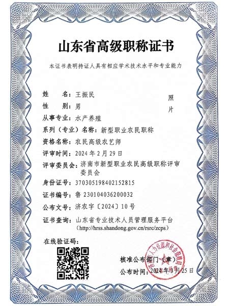 山東省高級(jí)職稱證書(shū)